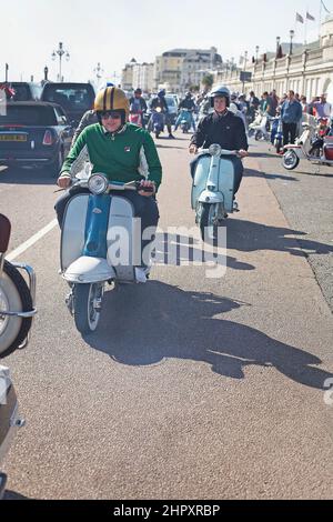 GREAT BRITAIN / England / Brighton / Mod scooter rider makes their way through the traffic at Seafront in Brighton. Stock Photo