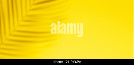 Horizontal banner with natural palm shadows on yellow wall. Floral silhouette on yellow background Stock Photo