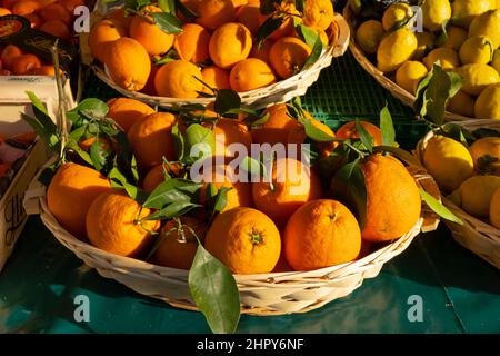 Baskets of oranges for sale in the Cours Saleya market in Nice, France Stock Photo