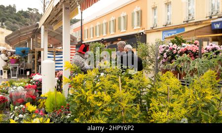 Mimosa - Acacia, yellow flowers for sale in the flower market on the Cours Saleya in the Old Town of Nice, France Stock Photo