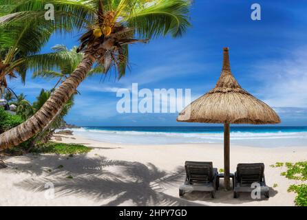 Beach umbrella and chairs on sandy palm beach with coco palms and turquoise sea. Stock Photo