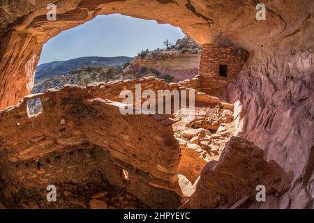 The Beef Basin Wash Ruin is an Ancestral Puebloan cliff dwelling in southeastern Utah.  It was abandoned about 800 years ago. Stock Photo