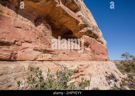 The Beef Basin Wash Ruin is an Ancestral Puebloan cliff dwelling in southeastern Utah.  It was abandoned about 800 years ago.  The original wooden vig Stock Photo