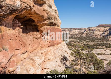 The Beef Basin Wash Ruin is an Ancestral Puebloan cliff dwelling in southeastern Utah.  It was abandoned about 800 years ago.  The original wooden vig Stock Photo