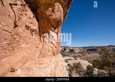 The Beef Basin Wash Ruin is an Ancestral Puebloan cliff dwelling in southeastern Utah.  It was abandoned about 800 years ago.  The original wooden vig Stock Photo