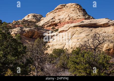 The Beef Basin Wash Ruin is an Ancestral Puebloan cliff dwelling in southeastern Utah.  It was abandoned about 800 years ago. Stock Photo