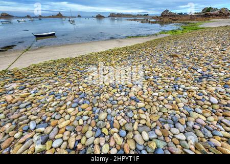 Impressive granite, dolerite and diorite pebbles on the coast, Plougrescant, Cotes d'Armor, Brittany, France Stock Photo