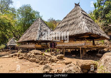 Two lumbung storehouses with pointed thatched roofs and raised platforms stand on the island of Alor, Indonesia. ## Batch 26 Stock Photo