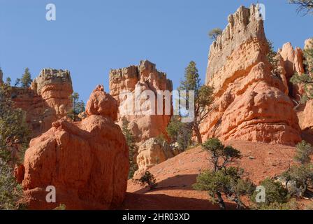 Close up of unique bright red sandstone rock formations called hoodoos, against a clear blue sky.  Shot in Red Rock Canyon, Utah, USA. Stock Photo