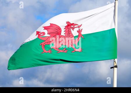 Welsh National flag flying from a flagpole in Wales in the United Kingdom Stock Photo