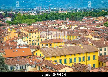 Top view on historic centre of Lucca city in Tuscany, Italy, Europe. Stock Photo