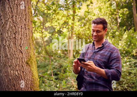 Man In Countryside Hiking Along Path Through Forest Using Map App On Mobile Phone To Navigate Stock Photo
