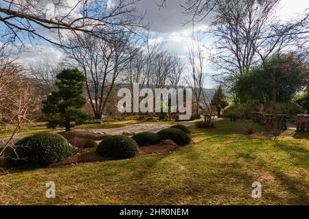 Prague, Czech Republic - February 12, 2022 - The Botanical Garden - the Japanese Garden in the sunny winter afternoon Stock Photo