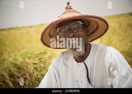 A man wearing a traditional sun hat sits in his rice field in the Senegal River Delta, northern Senegal, West Africa. Stock Photo