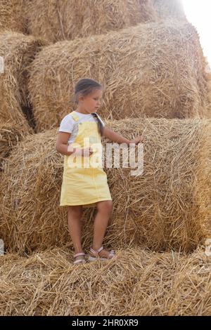 Portrait of nice young female kid standing on haystack thinking eyes looking down and holding hay in one hand wearing sundress. Having fun away from Stock Photo