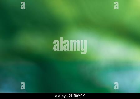 abstract blurred natural green background Stock Photo