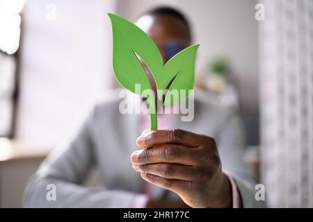 Man Holding Renewable Green Energy Concept In Hand Stock Photo