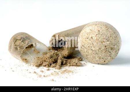 shiitake (Lentinula edodes, Lentinus edodes), opened tablet capsule with powder and one tablet Stock Photo