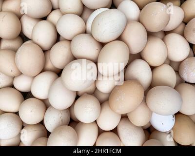 Close up of white eggs in a white bowl Stock Photo