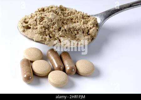 hen of the woods, maitake (Grifola frondosa), powder on a spoon, tablets and tablet capsules Stock Photo