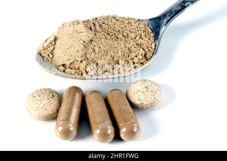 shiitake (Lentinula edodes, Lentinus edodes), powder on a spoon, tablets and tablet capsules Stock Photo