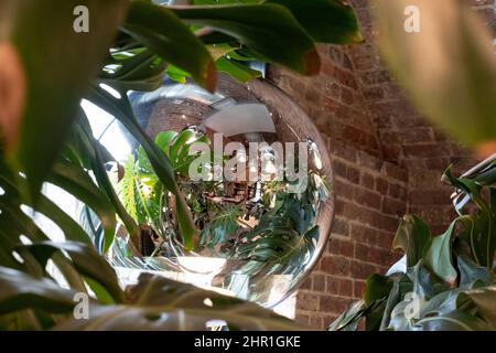 Monstera Swiss Cheese plant leaves reflected in glass pendant lamp at Tom Dixon flagship store and showroom at Coal Drops Yard, Kings Cross, London UK Stock Photo