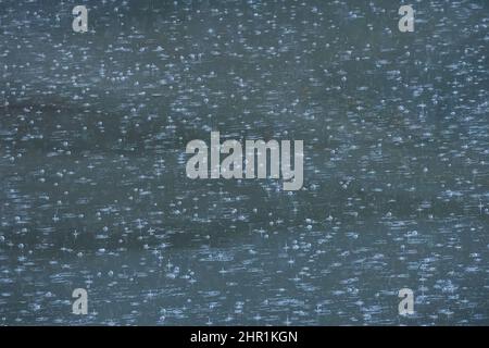 Rain bubbles on the water in rainy weather Stock Photo
