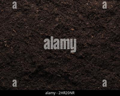 Texture of a planting bed or potting soil, view from above, space for your image or text, garden time or planting time concept Stock Photo