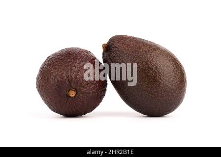 Two haas avocados isolated on white background. Healthy food concept. Stock Photo