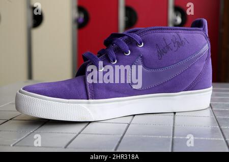 nike sb justin bieber
