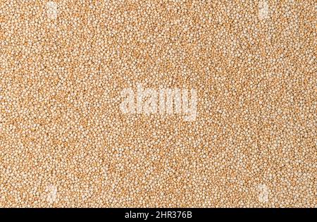 White seeds of useful quinoa. Culinary background. Stock Photo