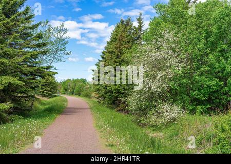 Springtime view of the Confederation Trail, Canada. Stock Photo