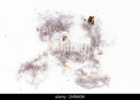 Trash, dust pile on a white background Stock Photo