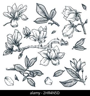 Set of isolated silhouette magnolia in 21 styles. Cute hand drawn ...