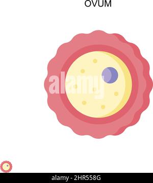 Ovum Simple vector icon. Illustration symbol design template for web mobile UI element. Stock Vector