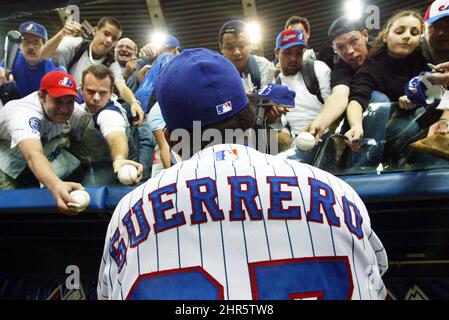 Vladimir Guerrero of the Montreal Expos during a game at Dodger Stadium in  Los Angeles, California during the 1997 season.(Larry Goren/Four Seam  Images via AP Images Stock Photo - Alamy