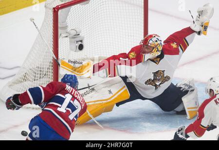 Roberto Luongo gets 77th career shutout in Panthers' 5-0 win over Bruins  Florida & Sun News - Bally Sports