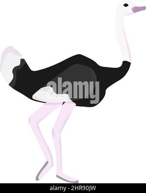 African ostrich in flat style isolated on white background Stock Vector