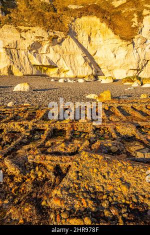 The wreck of SS Falcon, owned by the General Steam Navigation Company in Langdon Bay near Dover Kent Stock Photo