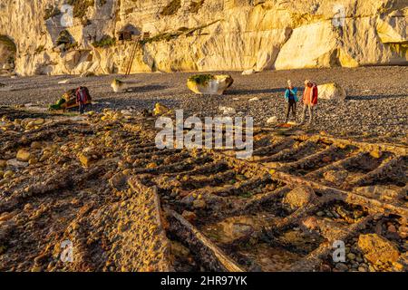 The wreck of SS Falcon, owned by the General Steam Navigation Company in Langdon Bay near Dover Kent Stock Photo