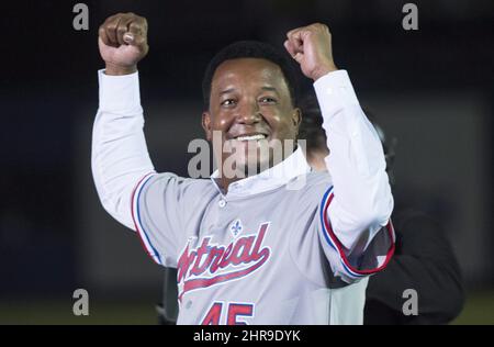 Former Montreal Expos pitcher Pedro Martinez salutes the crowd as he  honored in a pre-game ceremony before the Toronto Blue Jays take on the  Boston Red Sox in a spring training baseball