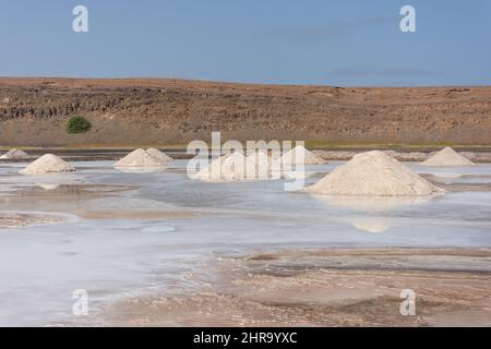 Salt pans in crater lake, Pedra de Lume, Sal (IIha do Sal), República de Cabo (Cape Verde) Stock Photo