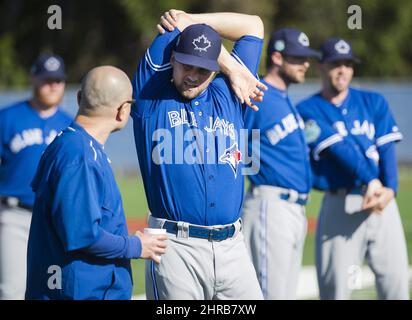 Dunedin Blue Jays shortstop Manuel Beltre (7) during an MiLB Florida State  League baseball game against the Tampa Tarpons on April 13, 2023 at TD  Ballpark in Dunedin, Florida. (Mike Janes/Four Seam