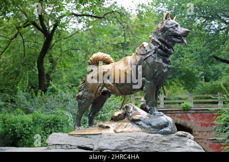 The Sled Dog sculpture, New York Stock Photo