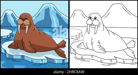 Walrus Coloring Page Colored Illustration Stock Vector