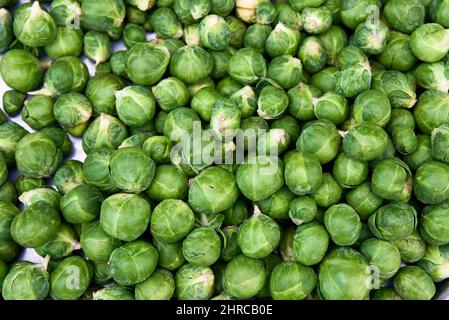 Fresh brussels sprouts in an enameled bowl, view from above Stock Photo
