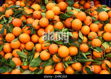 Background texture of orange fruit with green leaves. Oranges on the counter. Stock Photo