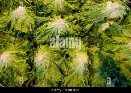 Fresh green salad leaves in variety assortment of colorful vegetables in market Stock Photo