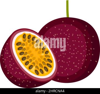 Passion fruit, whole fruit and half, vector illustration Stock Vector