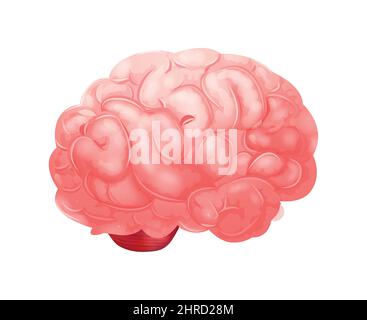 Realistic human internal organs anatomy composition with isolated image of brain vector illustration Stock Vector